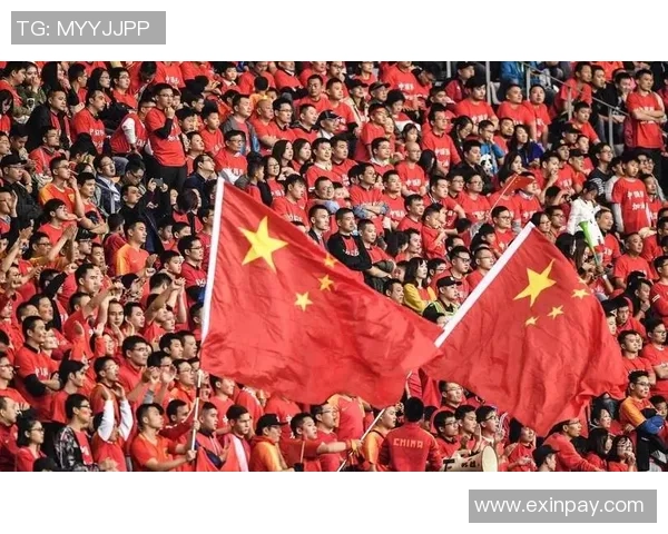 武汉足球队的崛起之路:揭秘他们背后的力量与荣耀